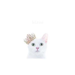 Aimer／BEST SELECTION “blanc” 初回生産限定盤B