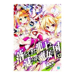 落ちてきた龍王と滅びゆく魔女の国 11／舞阪洸