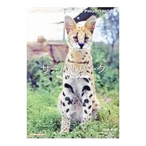 サーバルパーク／南幅俊輔