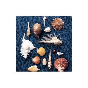 スピッツ / CYCLE HIT 1991-1997 Spitz Complete Single Collection