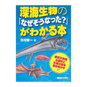 深海生物 イラストの商品一覧 通販 Yahoo ショッピング