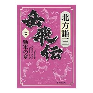 岳飛伝 7／北方謙三