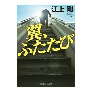 翼、ふたたび／江上剛