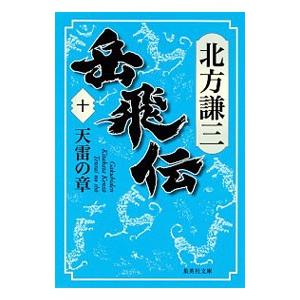 岳飛伝 10／北方謙三