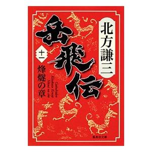 岳飛伝 11／北方謙三