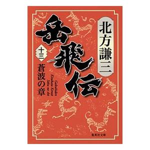 岳飛伝 １３／北方謙三