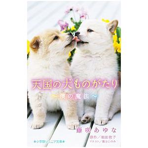天国の犬ものがたり 僕の魔法／堀田敦子