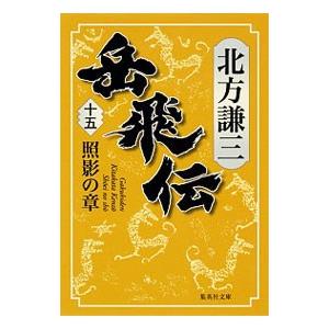 岳飛伝 15／北方謙三