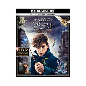 DVD／ファンタスティック・ビーストと魔法使いの旅 4K ULTRA HD＆2D ブルーレイセット