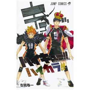 ハイキュー！！ カラーイラスト集 ハイカラ！！／古舘春一