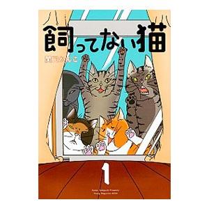 飼ってない猫 1／関口かんこ