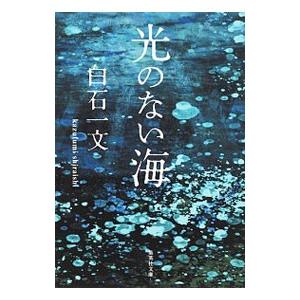 光のない海／白石一文