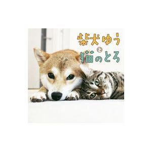 柴犬ゆうと猫のとろ／ゆうとろママ
