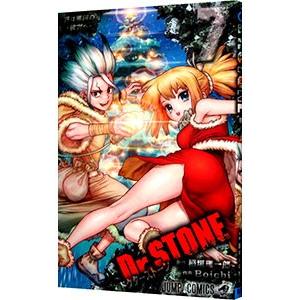 Dr．STONE 7／Boichi