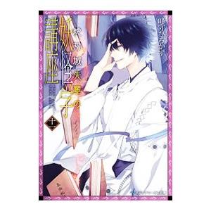 絶対城先輩の妖怪学講座 11／峰守ひろかず