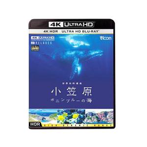 DVD／世界自然遺産 小笠原〜ボニンブルーの海〜