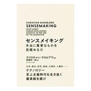 センスメイキング／MadsbjergChristian