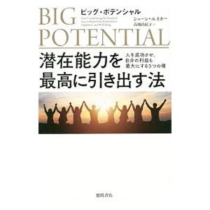 ビッグ・ポテンシャル潜在能力を最高に引き出す法／AchorShawn