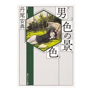 男色の景色／丹尾安典