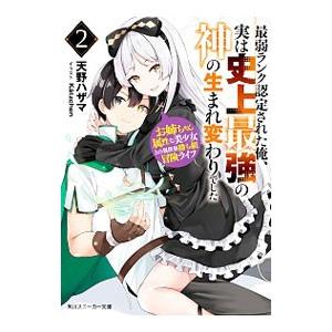 最弱ランク認定された俺、実は史上最強の神の生まれ変わりでした 2／天野ハザマ