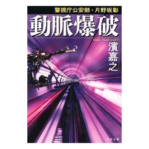 動脈爆破（警視庁公安部・片野坂彰2）／濱嘉之