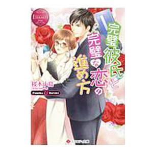 完璧彼氏と完璧な恋の進め方／桜木小鳥