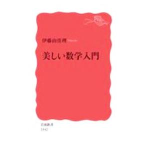 美しい数学入門／伊藤由佳理