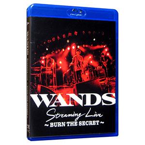 Blu-ray／WANDS Streaming Live〜BURN THE SECRET〜
