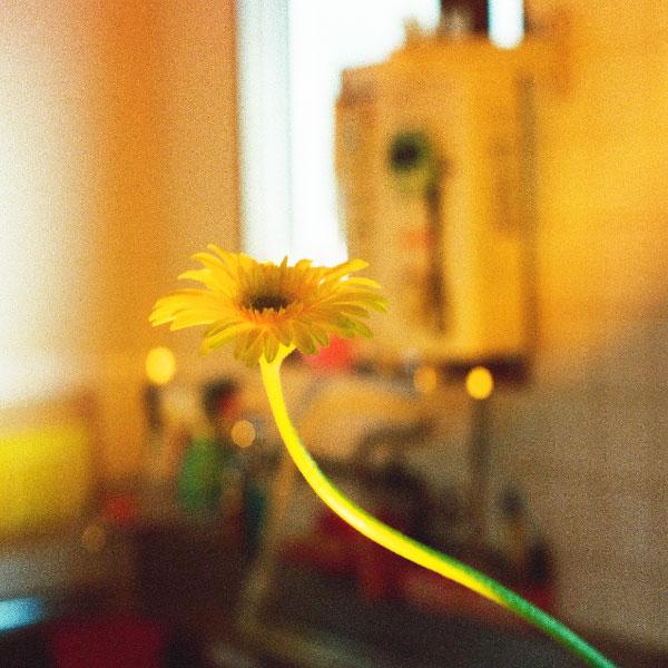 PEDRO／後日改めて伺います