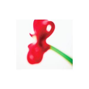 マカロニえんぴつ／ハッピーエンドへの期待は 初回盤B