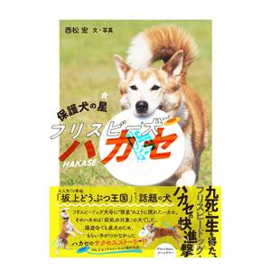 保護犬 譲渡会