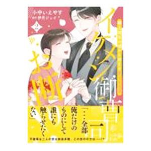 イケメン御曹司はお断り！〜極上彼氏の嘘から始まる愛され生活〜 2／小中いえやす