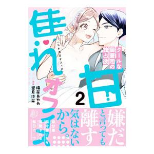 焦れ甘オフィス〜クールな御曹司の独占欲〜 2／梅星あやめ