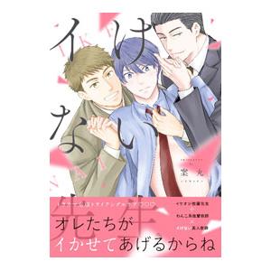 イけない先生／案丸