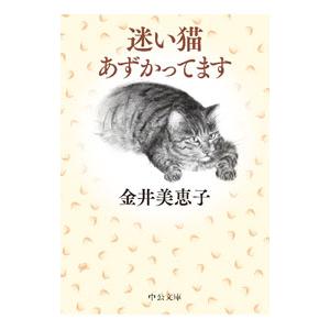 迷い猫あずかってます／金井美恵子