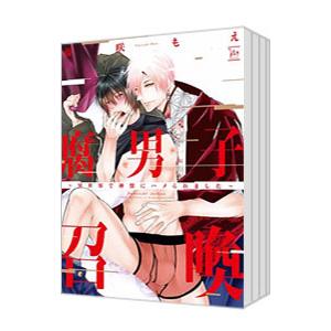 腐男子召喚〜異世界で神獣にハメられました〜 （1〜11巻セット）／藤咲もえ