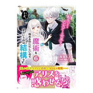 転生したら乙女ゲーの世界？ いえ、魔術を極めるのに忙しいのでそういうのは結構です。 6／坂巻あきむ