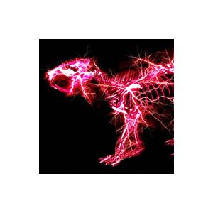 SUPER BEAVER／グラデーション 初回限定盤A