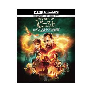 DVD／ファンタスティック・ビーストとダンブルドアの秘密 4K ULTRA HD＆ブルーレイセット