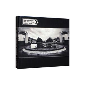 ノエル・ギャラガーズ・ハイ・フライング・バーズ／カウンシル・スカイズ