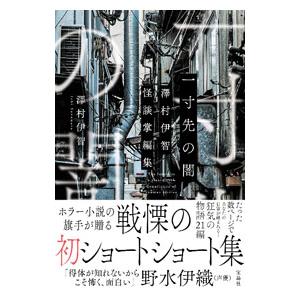 一寸先の闇／澤村伊智