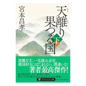 天離り果つる国 下／宮本昌孝