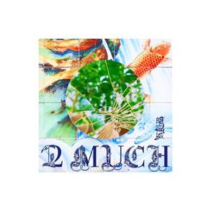 龍宮城／2 MUCH 完全生産限定盤