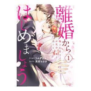 離婚からはじめましょう 極上社長はお見合い妻を逃さない 1／うみやまねこ