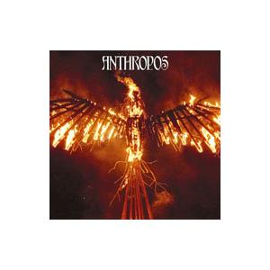 関ジャニ∞／アンスロポス