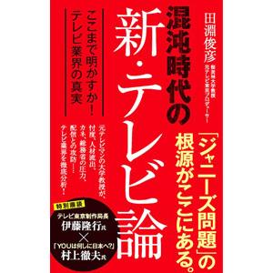 混沌時代の新・テレビ論／田淵俊彦