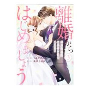 離婚からはじめましょう 極上社長はお見合い妻を逃さない 3／うみやまねこ