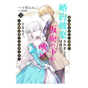 身に覚えのない理由で婚約破棄されましたけれど、仮面の下が醜いだなんて、一体誰が言ったのかしら？ 3／...