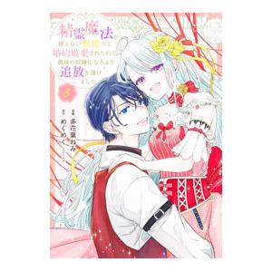 精霊魔法が使えない無能だと婚約破棄されたので、義妹の奴隷になるより追放を選びました 3／多花葉ねみ