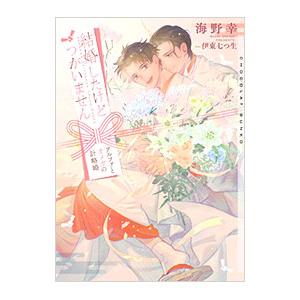 結婚したけどつがいません／海野幸